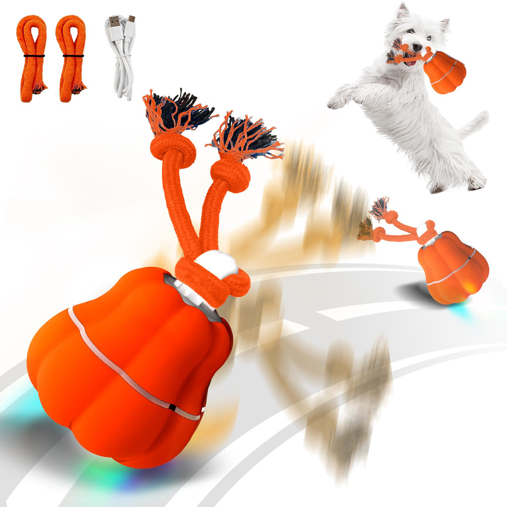 Hanarook pumpkin-dog-ball front-view shows motion-activated play for active dogs