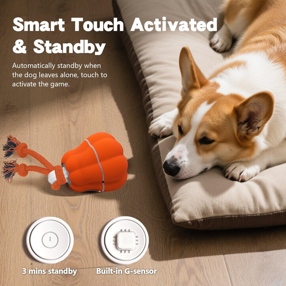 Hanarook pumpkin-dog-ball-mode-switch demonstrates three play modes for customization