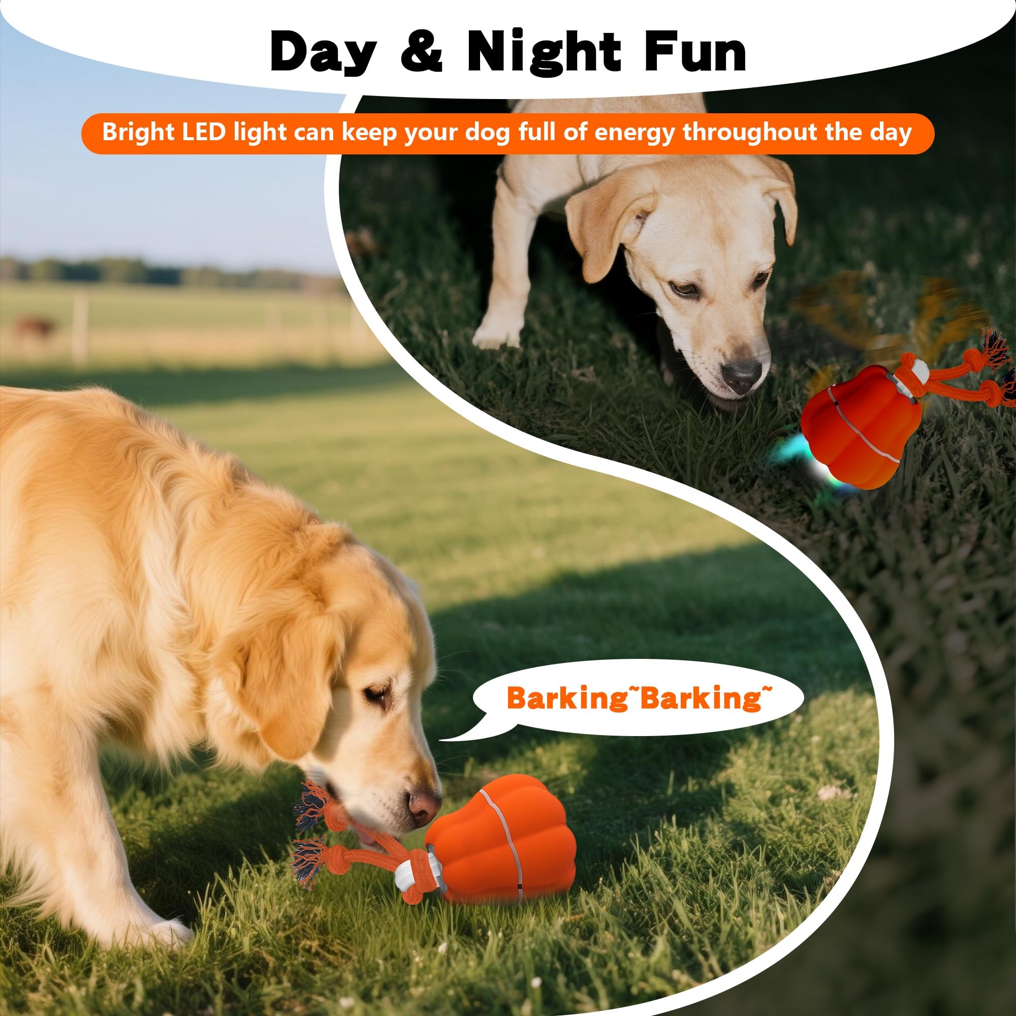 Hanarook pumpkin-dog-ball-rope-chase with dangling rope for added tug-and-run fun