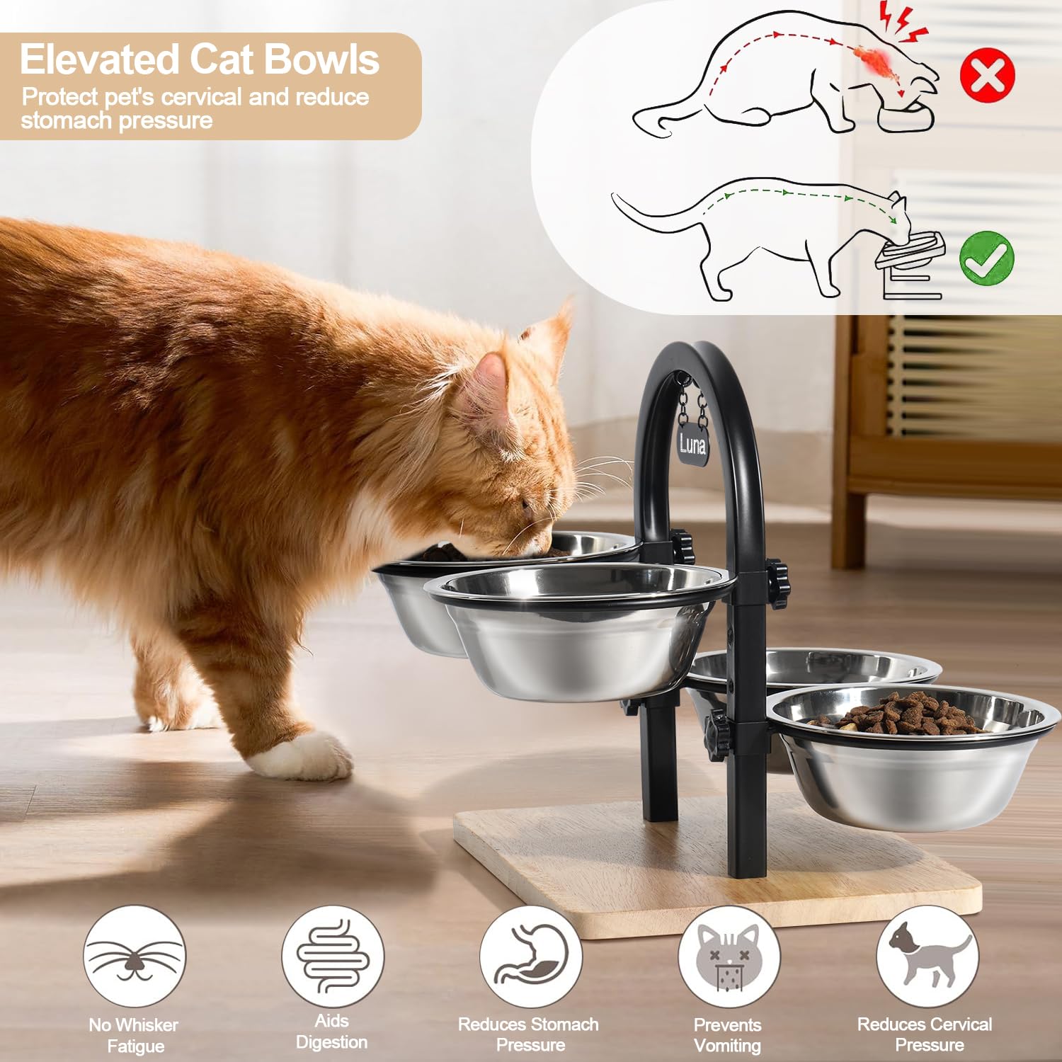 Handrong durable elevated stand with steel bowls for everyday use.
