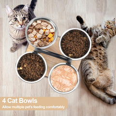 Handrong multi-pet feeding setup supports simultaneous meals for multiple pets.
