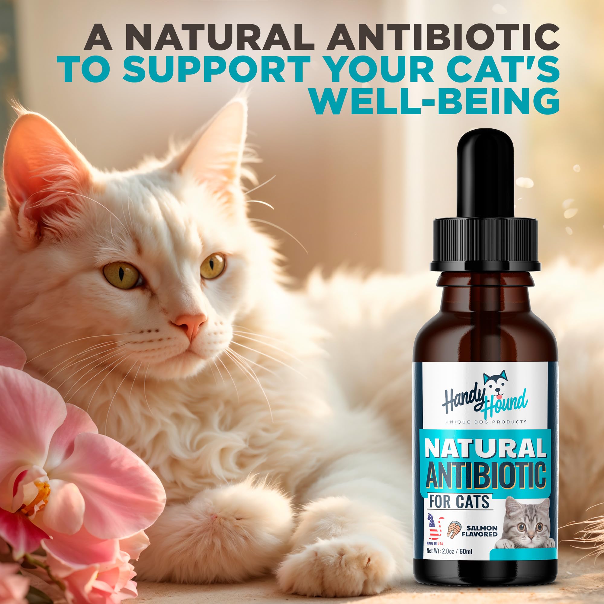 Handy Hound cat allergy relief image highlighting comfort during sneezing season