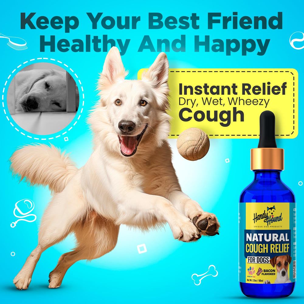 Handy Hound dropper allows precise, easy administration to dogs.