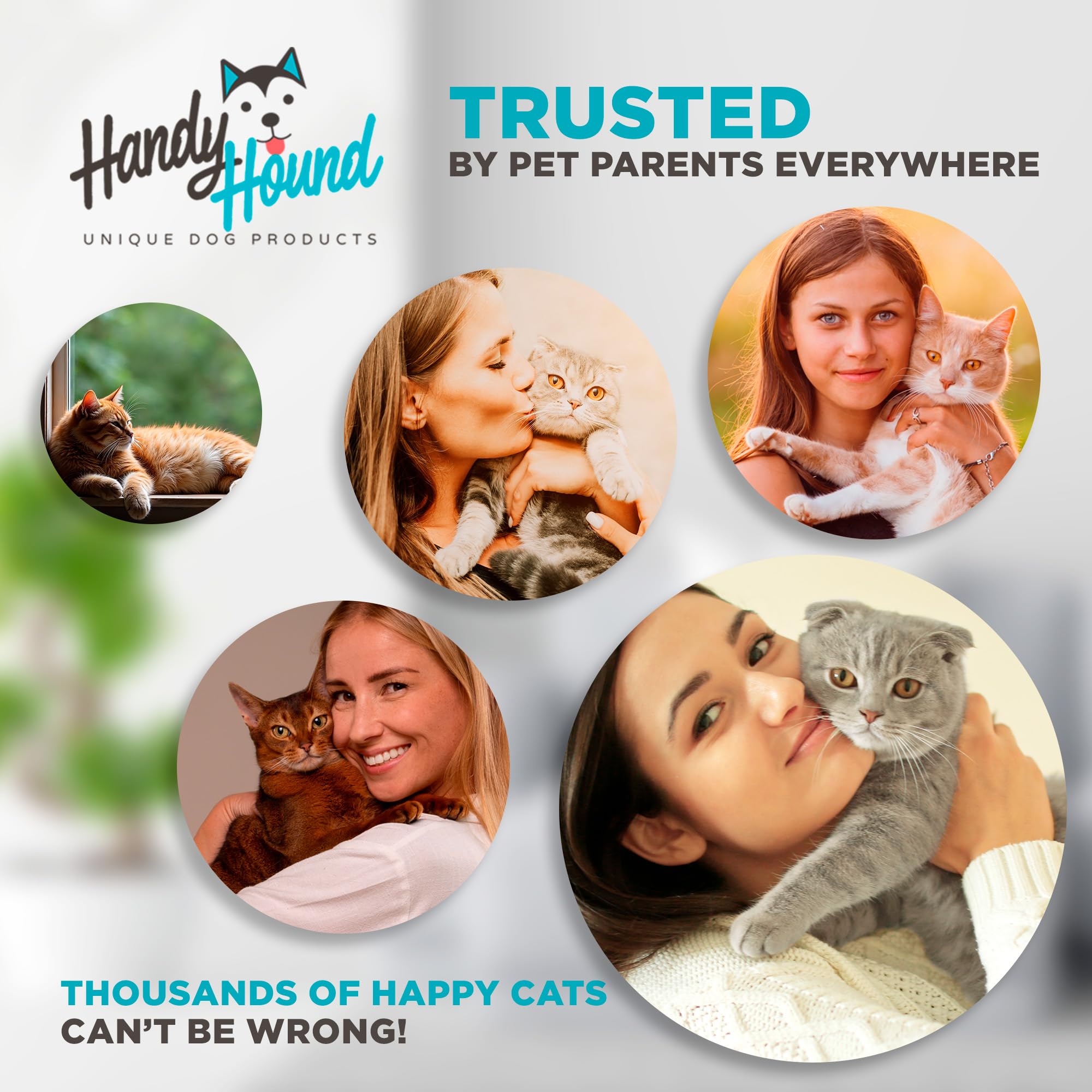 Handy Hound gift-ready natural health booster packaging concept