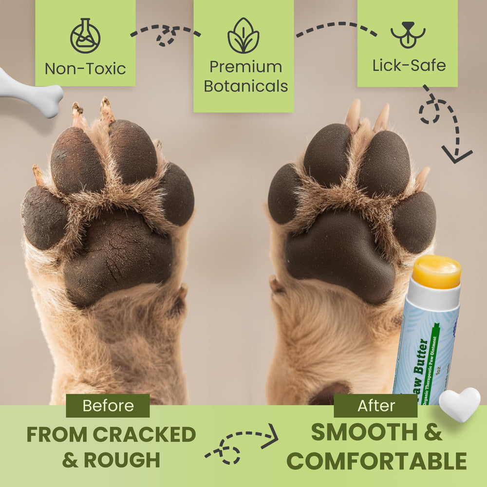 Handy Hound paw balm applied to nose care for moist, comfortable snout areas.