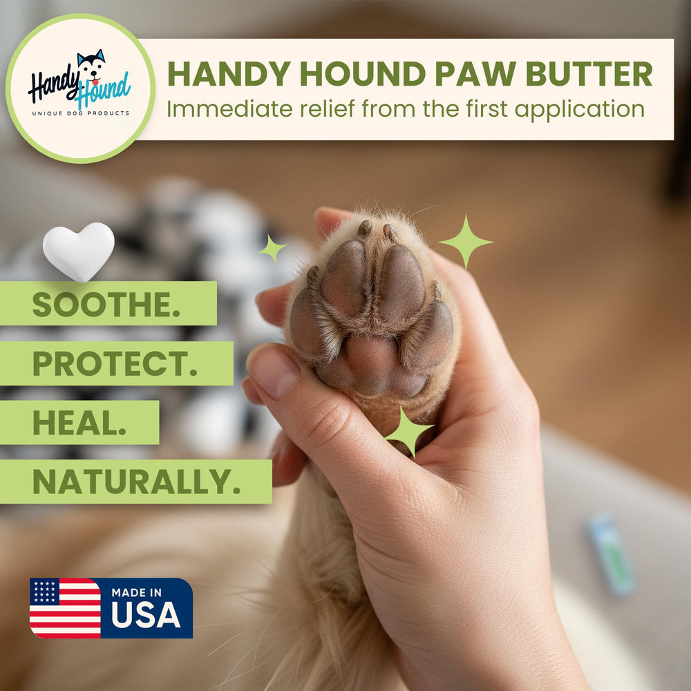 Handy Hound paw balm on paw pad protects against dryness and cracking.