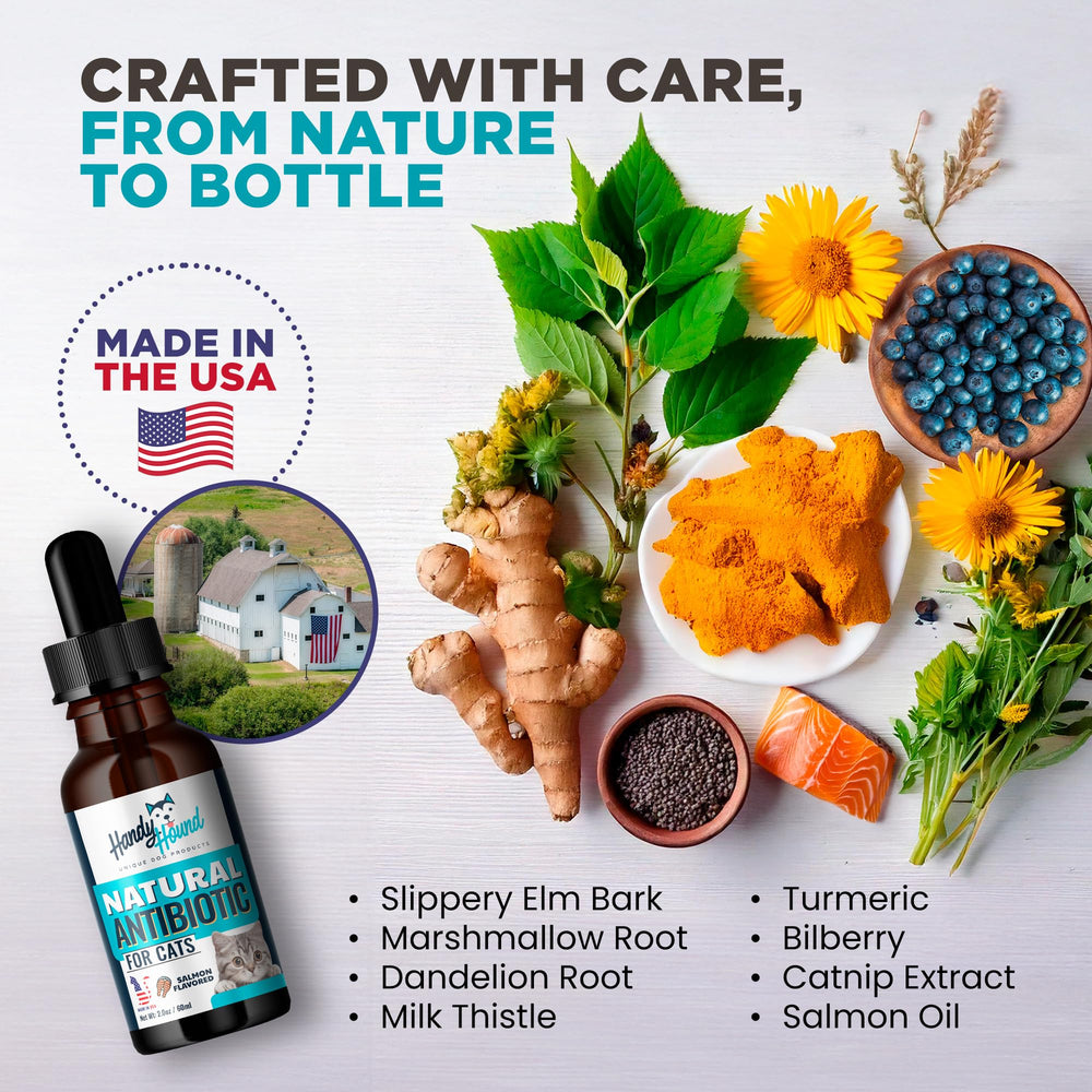 Handy Hound salmon oil benefits close-up showing omega-3 nutrition for cats