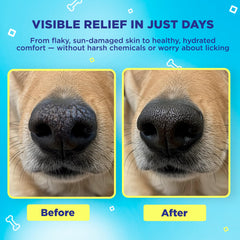 Handy Hound SnoutScreen close-up on a dog's nose after application.