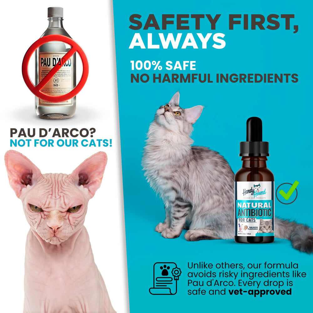 Handy Hound turmeric bilberry support image illustrating allergen neutralizing and respiratory comfort