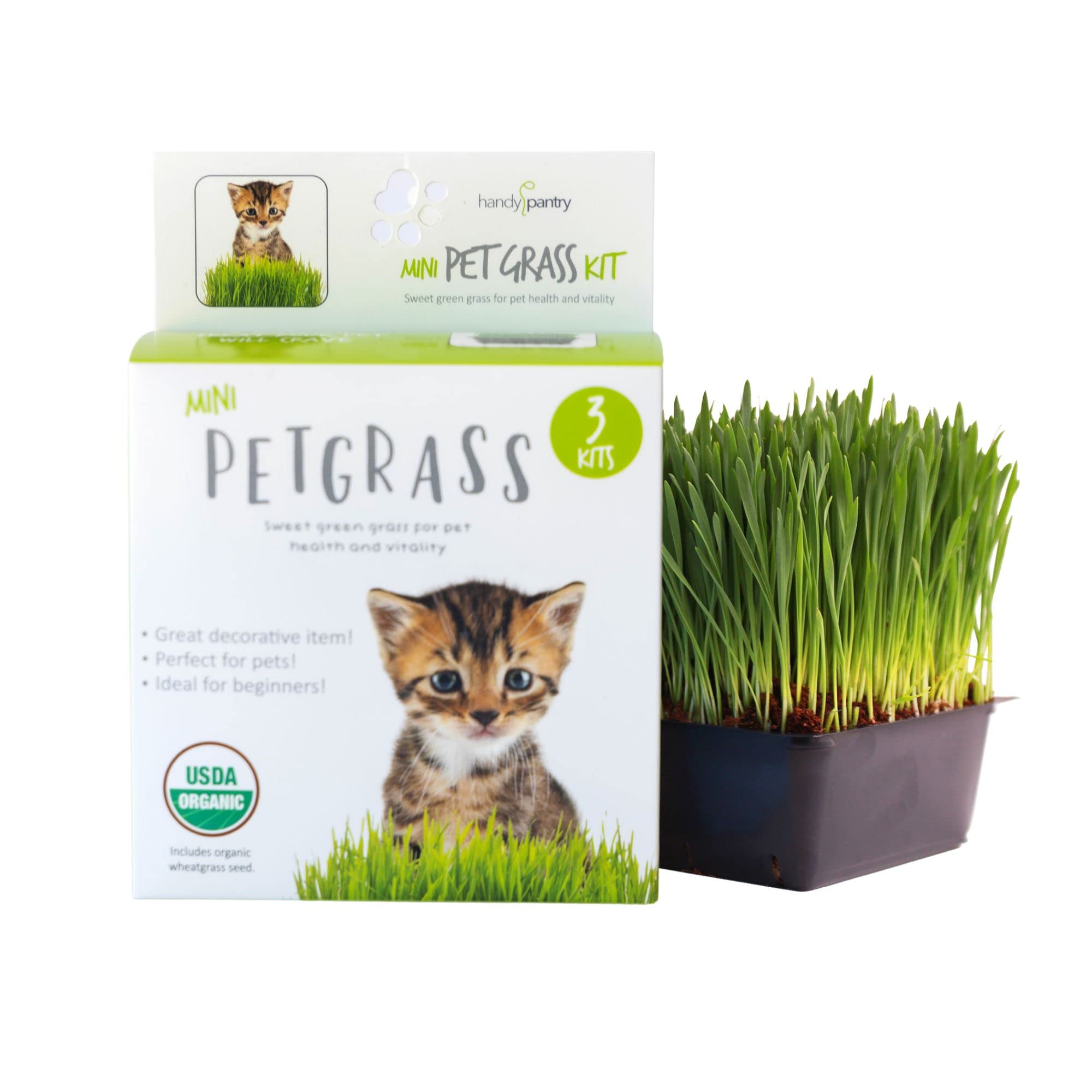 Handy Pantry Cat Grass Kit soil pucks for mess-free, clean planting.