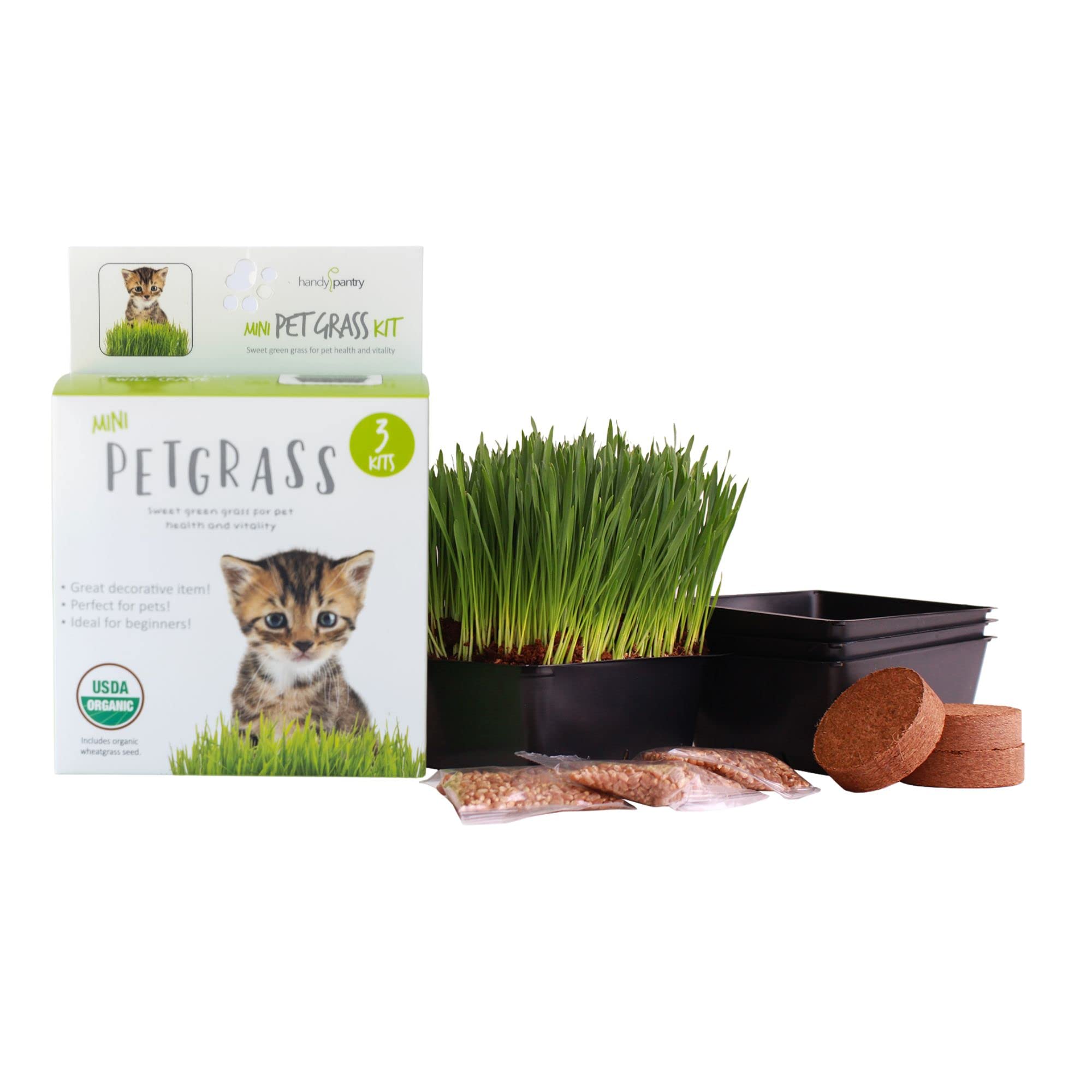 Handy Pantry Cat Grass Kit trays enabling easy indoor growing of fresh cat grass.