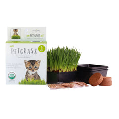 Handy Pantry Cat Grass Kit trays enabling easy indoor growing of fresh cat grass.
