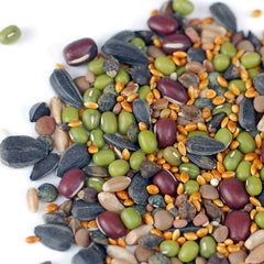 Handy Pantry Organic Birdseed dry-feeding setup enables quick, easy daily servings.