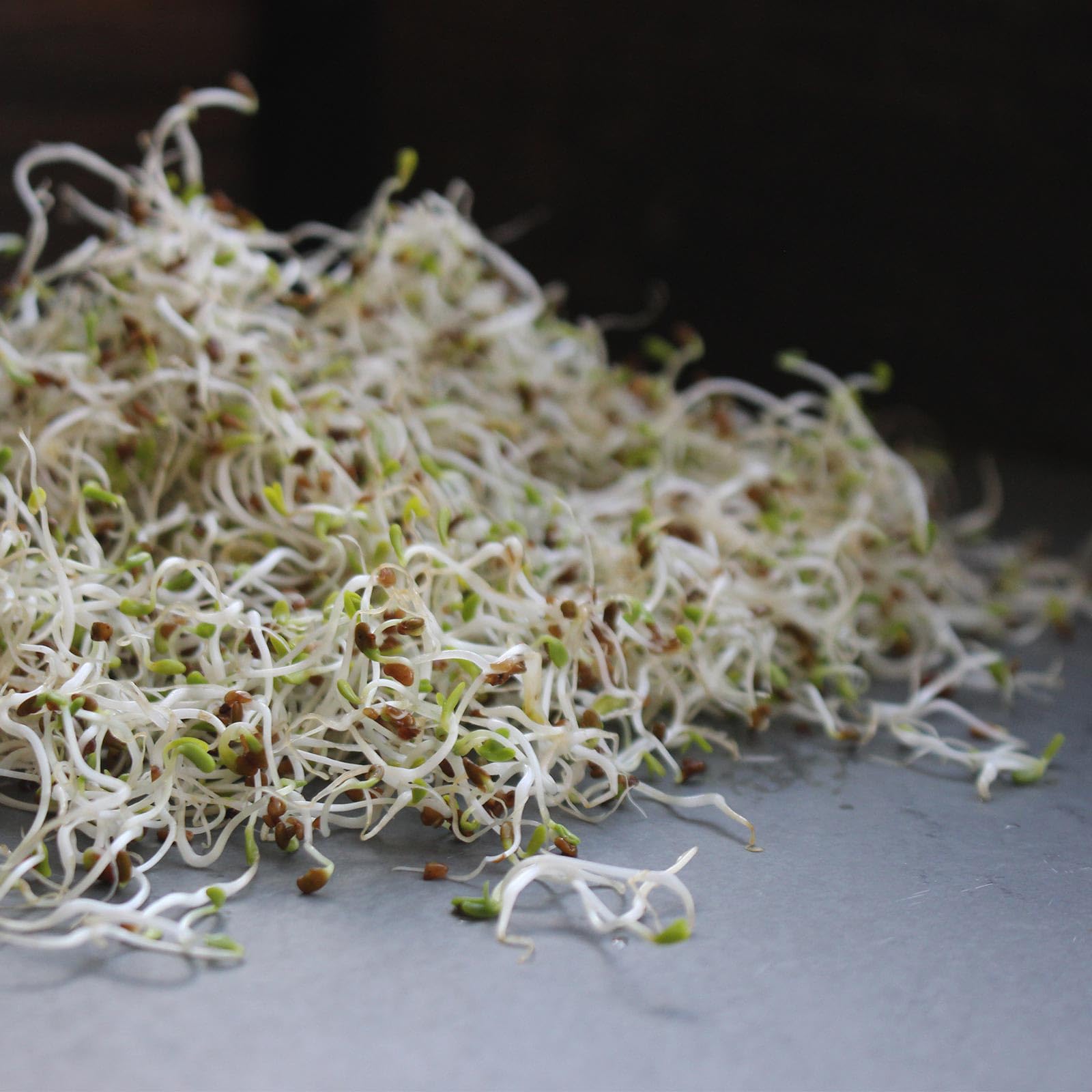 Handy Pantry Organic Birdseed sprouting-batch image suggests enzyme-rich sprouts for birds.