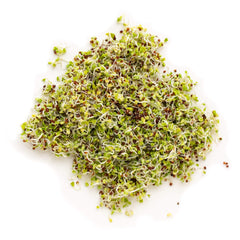 Handy Pantry Organic Birdseed sprouts-closeup highlights millet and flax ingredients for sprouts.