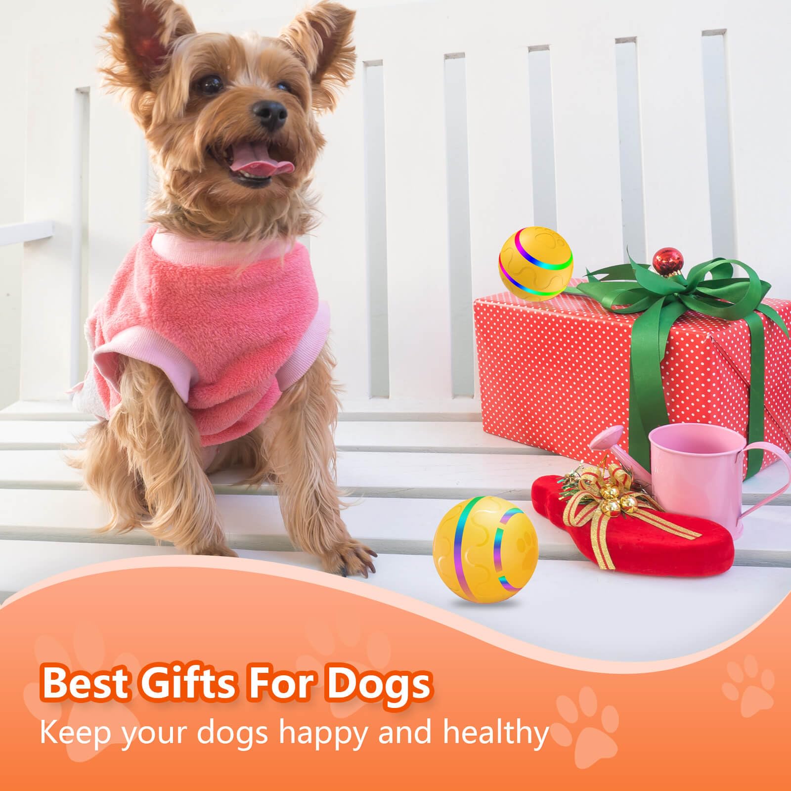 Hanipuppy dogs and cats enjoy versatile play for shared fun.