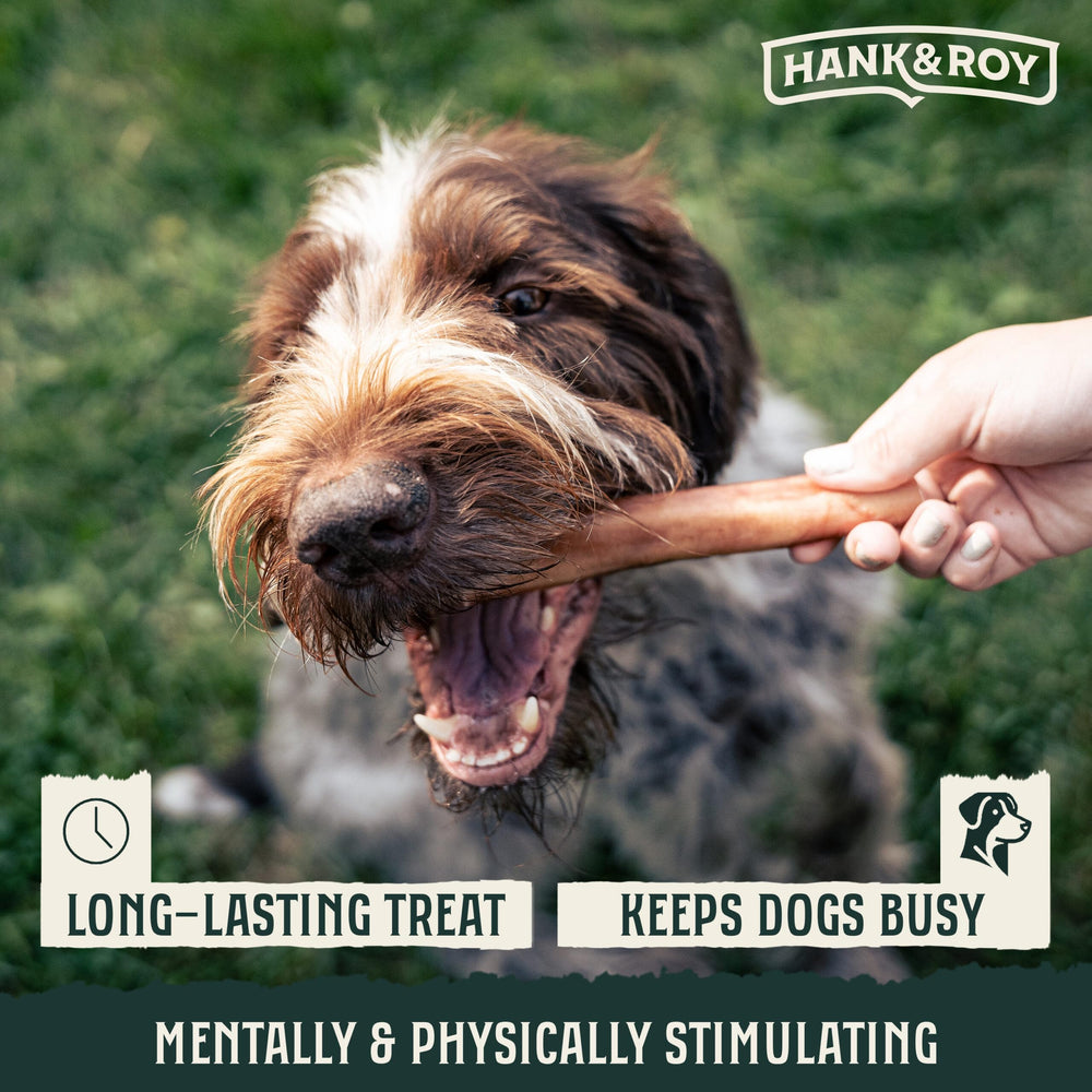 Hank and Roy bully sticks grass-fed source illustration emphasizes natural ingredients