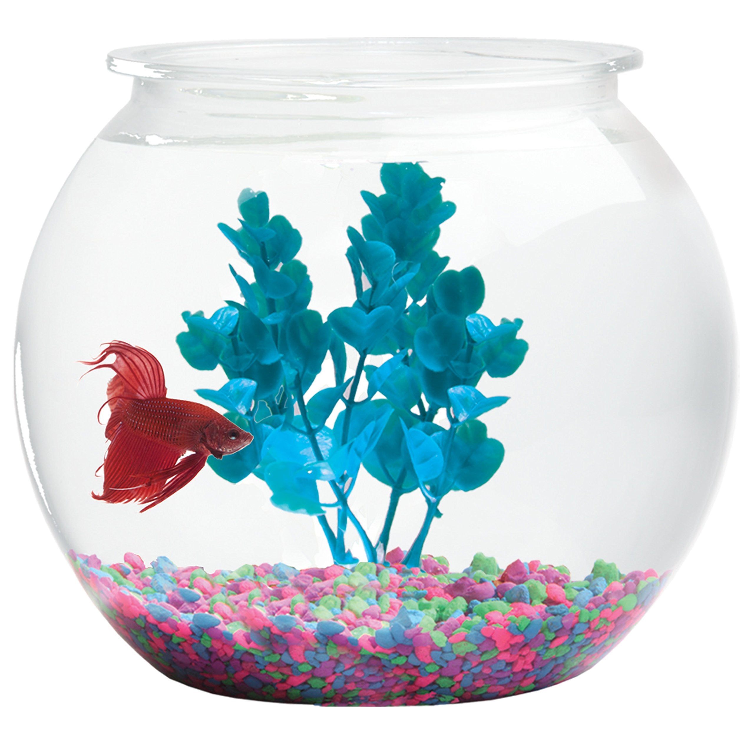 Hank & Harley Aquatic Wonder 1gal bowl in crystal-clear plastic for a glass-like display