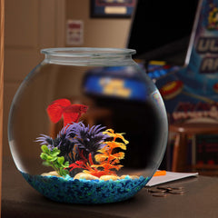 Hank & Harley Aquatic Wonder betta fish bowl serves as an easy-care habitat