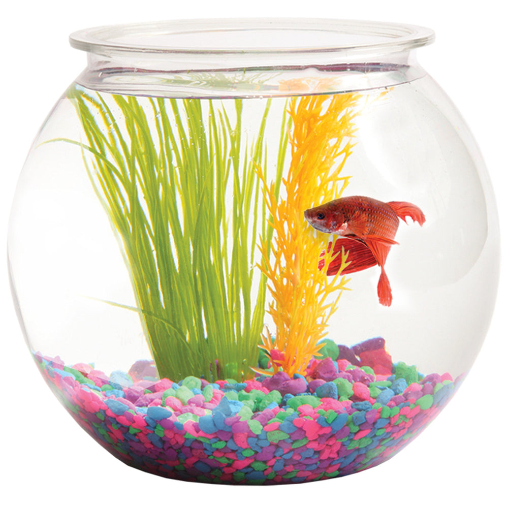 Hank & Harley Aquatic Wonder party drink display for festive gatherings