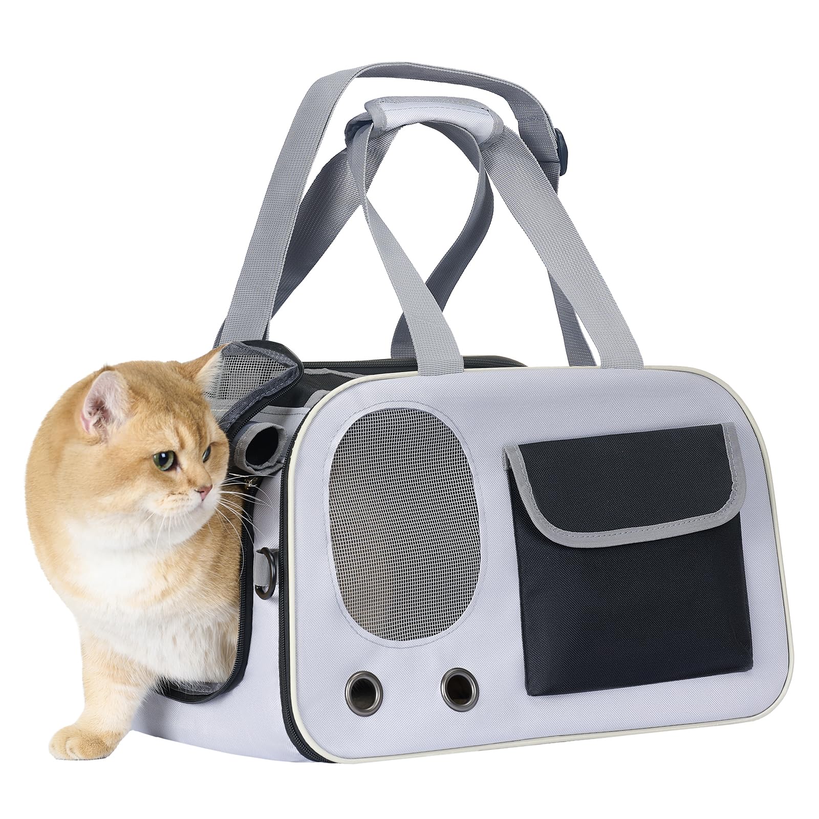 Hannadepot cat carrier fold design showing compact storage for easy transport