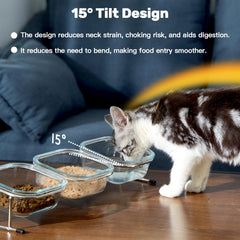 Hannadepot glass cat bowls trio on stand for clean, safe meals.