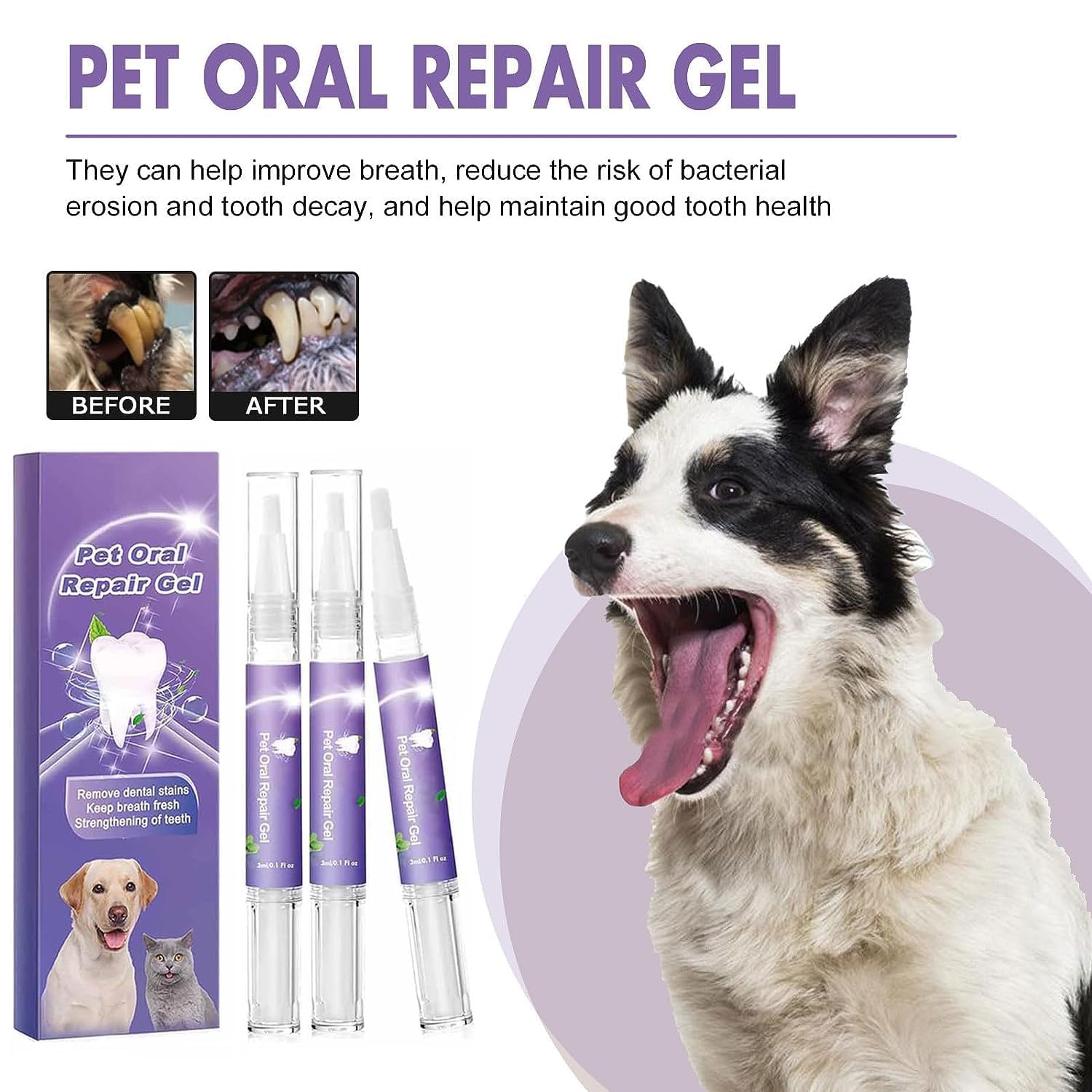 Hannahcos pet oral repair gel application demonstrating direct-to-teeth use
