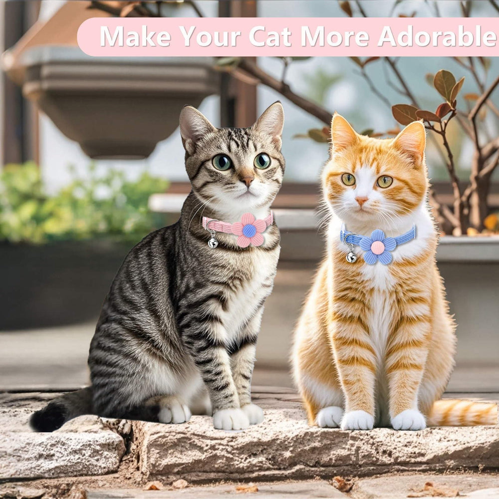 HANSHILAI cat collar worn by a cat demonstrates comfort and cat-friendly style