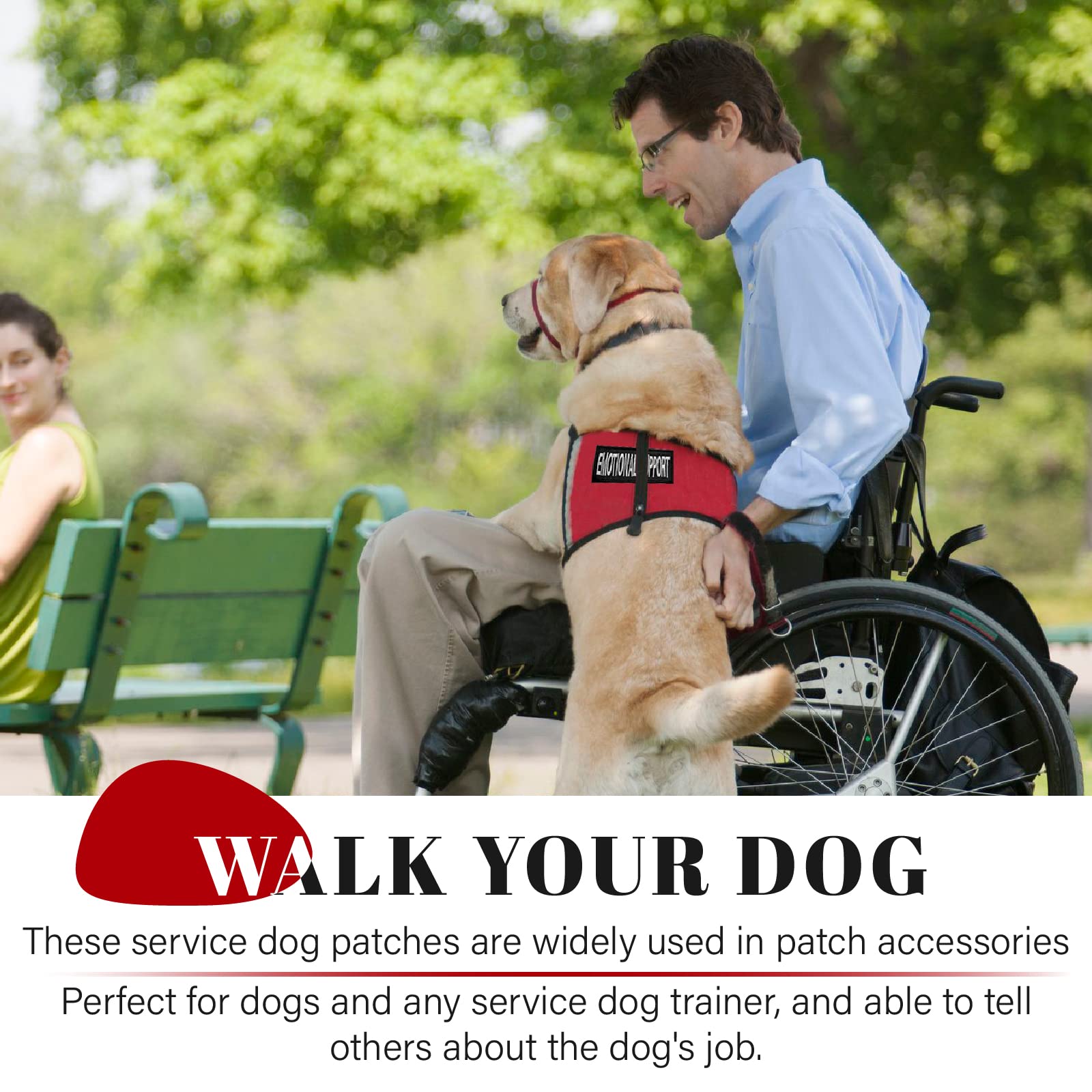 HANWER service dog patch reading DO NOT PET warns bystanders politely.