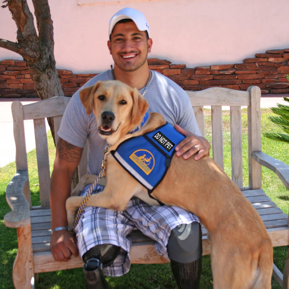 HANWER emotional-support patch highlighting supportive role during calming routines.