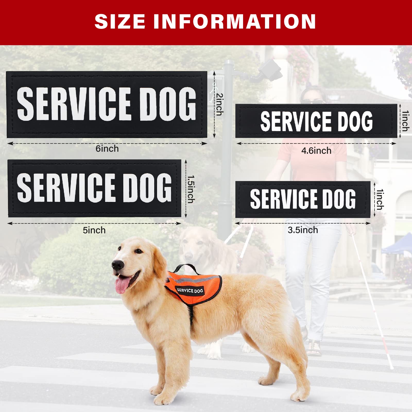 HANWER service-dog-patch removable-vest-attachment demonstrates quick swaps for training.