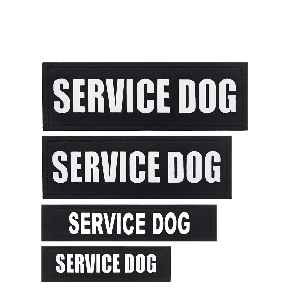 HANWER service-dog patches on vest provide quick identification during training.