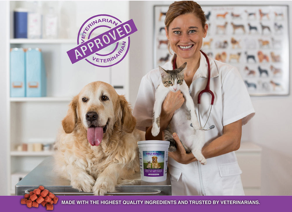 Hanzi Pets soft chews coat glow—potential for shinier coat in dogs.