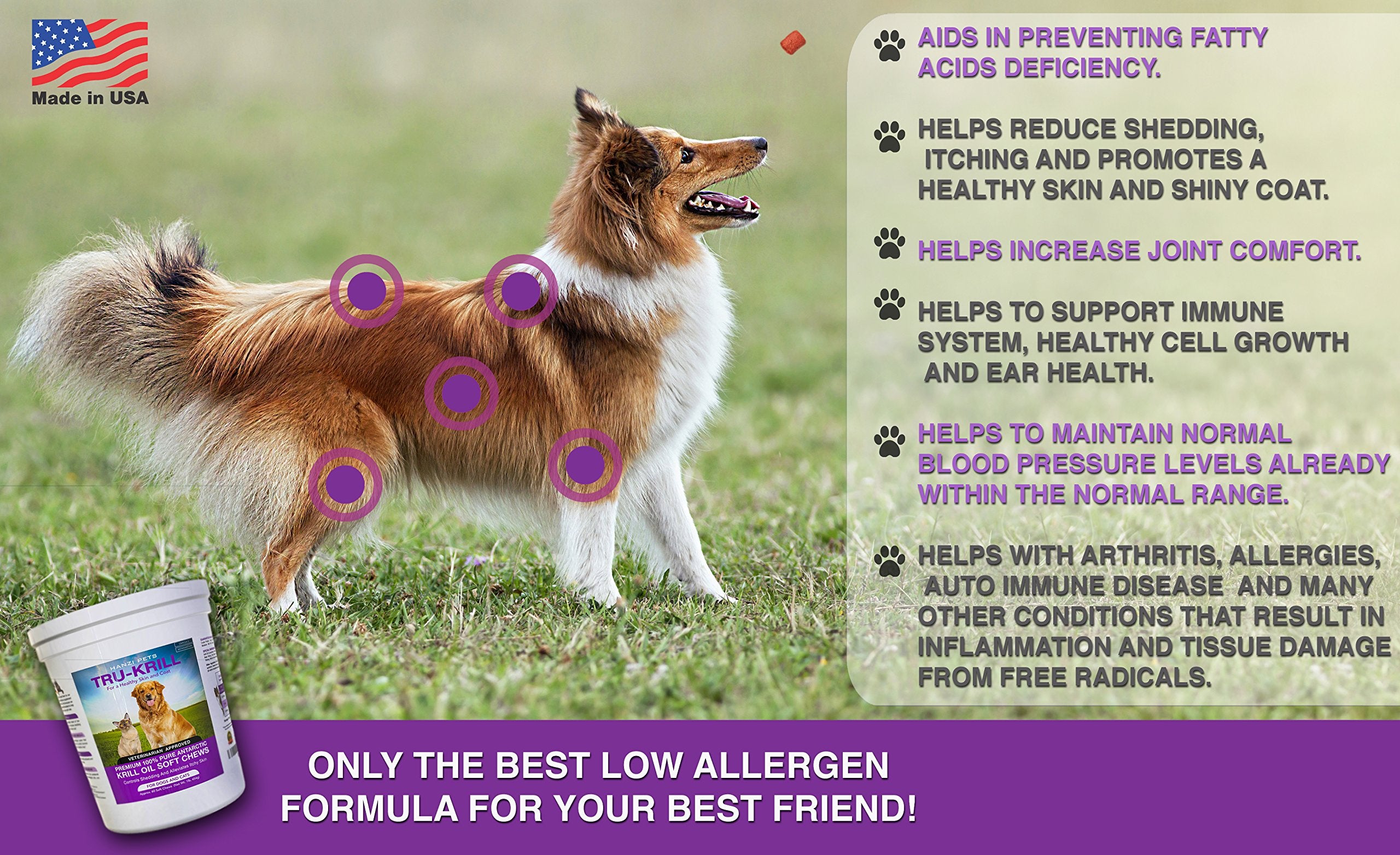 Hanzi Pets gluten-free ingredients—low allergen formula for sensitive dogs.