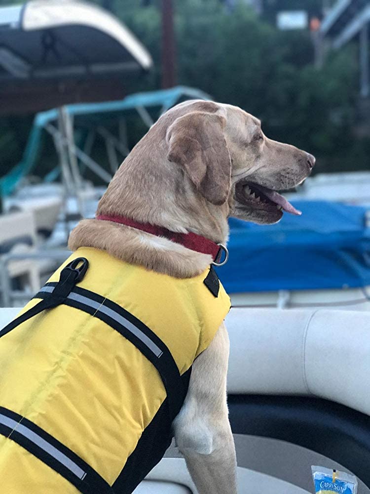 HAOCOO reflective stripes for dusk visibility