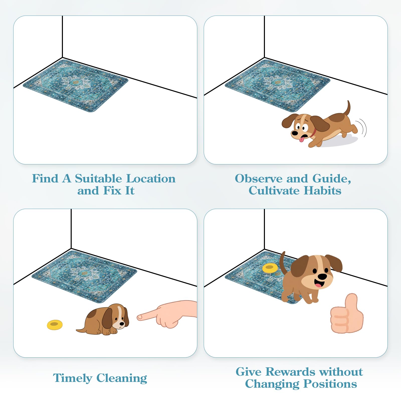 HAOCOO sizes S/M/L for puppies, adult dogs, and aging pets