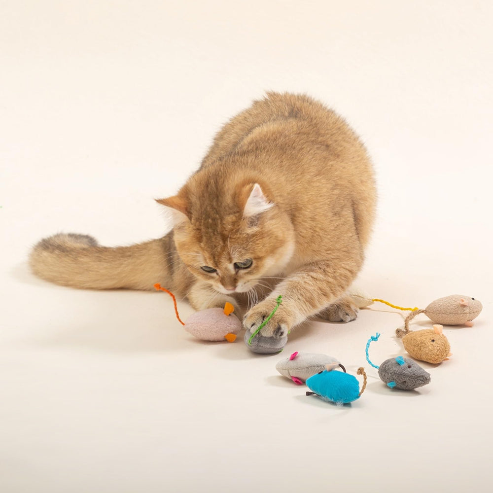 Haourlife bright-color mice — vibrant toys to engage kittens and adult cats