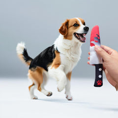Haourlife indoor play dog toy reduces boredom