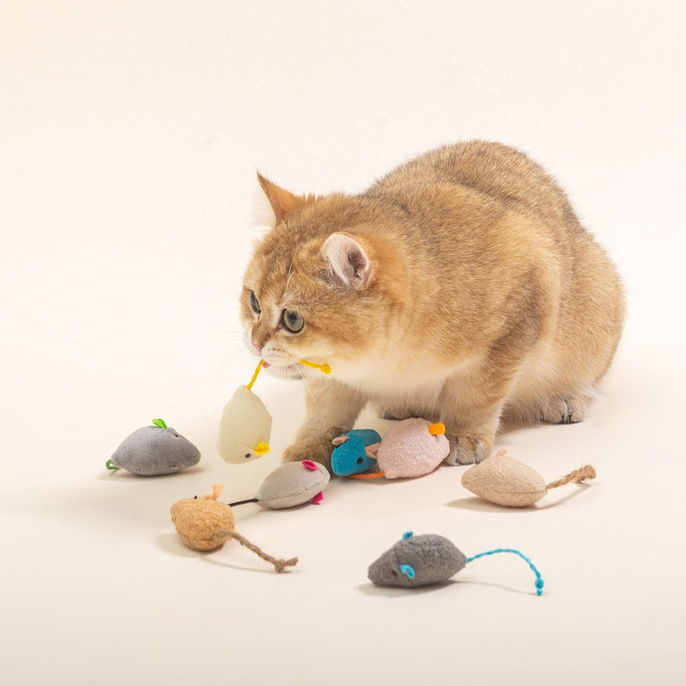 Haourlife tail-string mice — encourages chasing and bonding play sessions