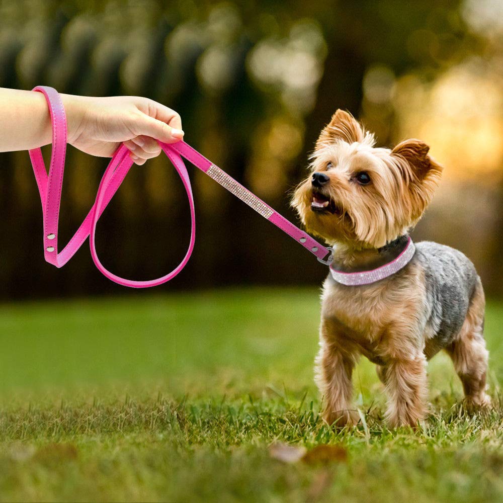 Haoyueer dog collar and leash set arrives packaged for easy styling