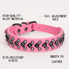 Haoyueer dog collar spiked pink worn on a dog demonstrates bold street-ready fashion.