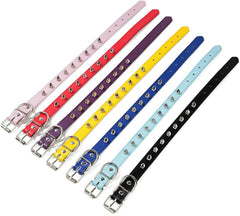 haoyueer spiked dog collar adjustable-length S showing easy wear for small breeds