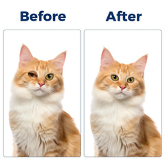HAOYUSTORE-eye-area-cleaning illustrates prep before care for safe pet routines.