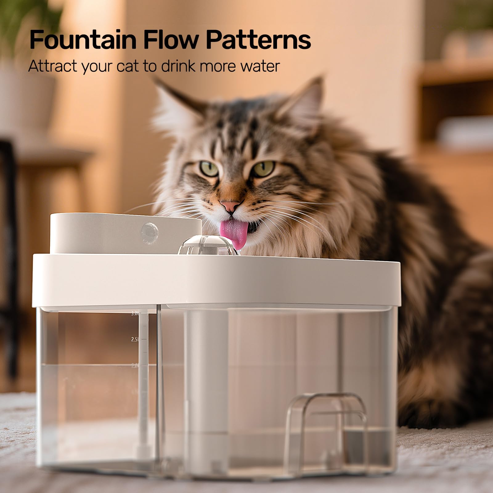 HAPAW fountain installed indoors beside a cat-friendly lounging area.