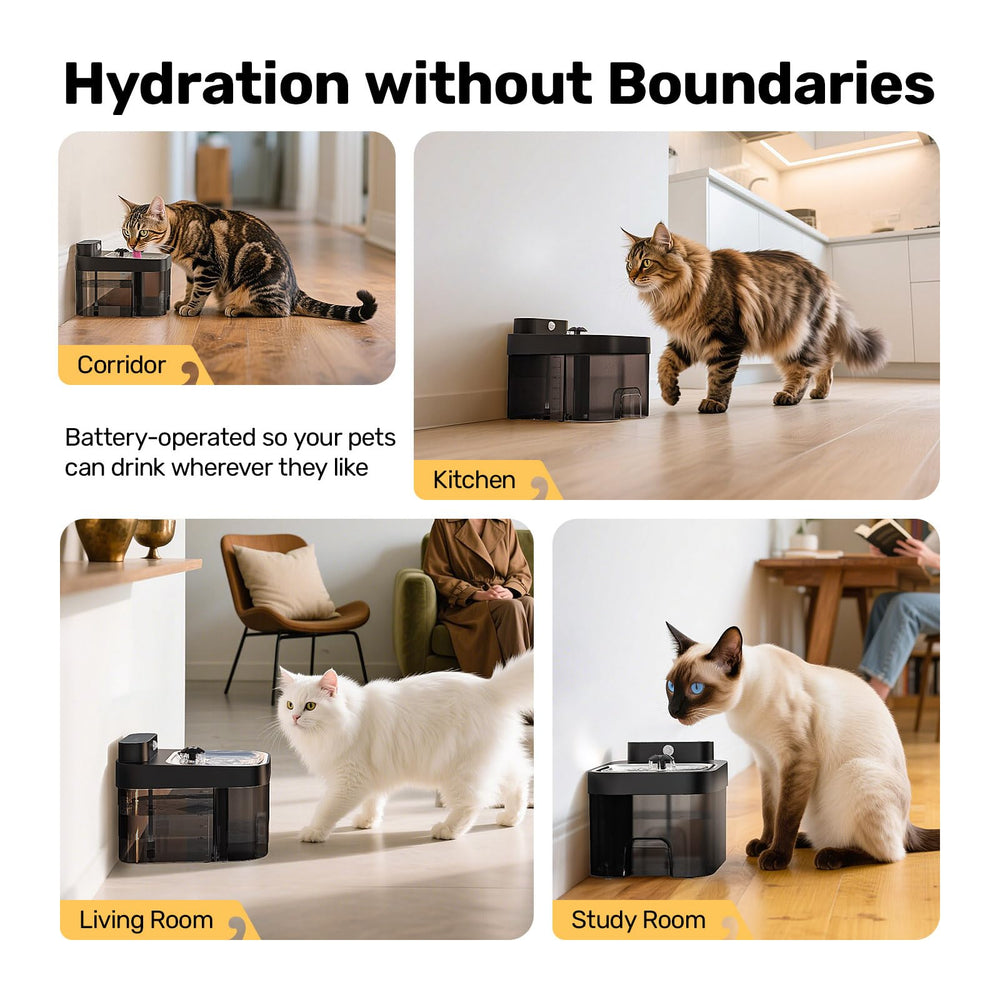 HAPAW included sponges aid cleaning and prevent clogs.