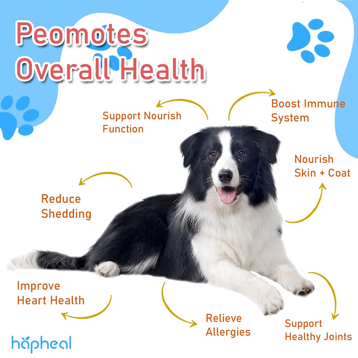 hapheal joint-mobility image with an active dog suggests omega-3 support.