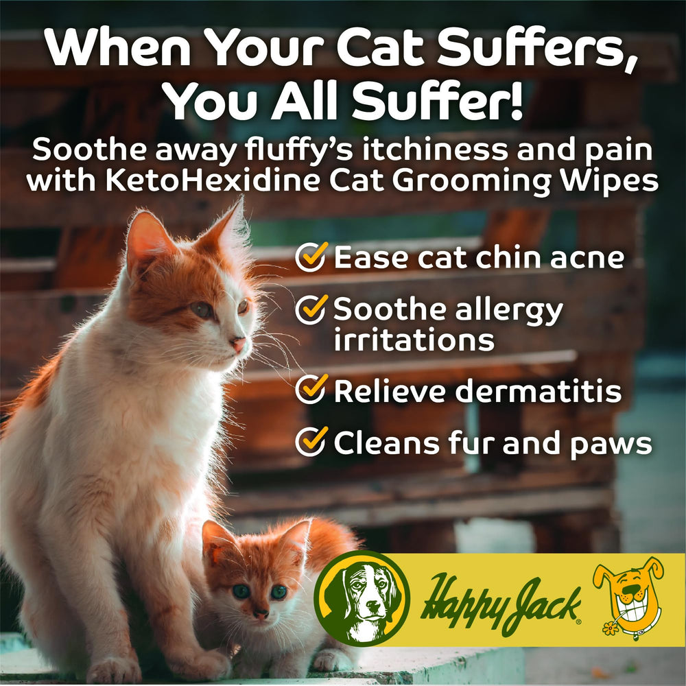 HAPPY JACK KetoHexidine wrinkle wipes on dog face for folds and wrinkles