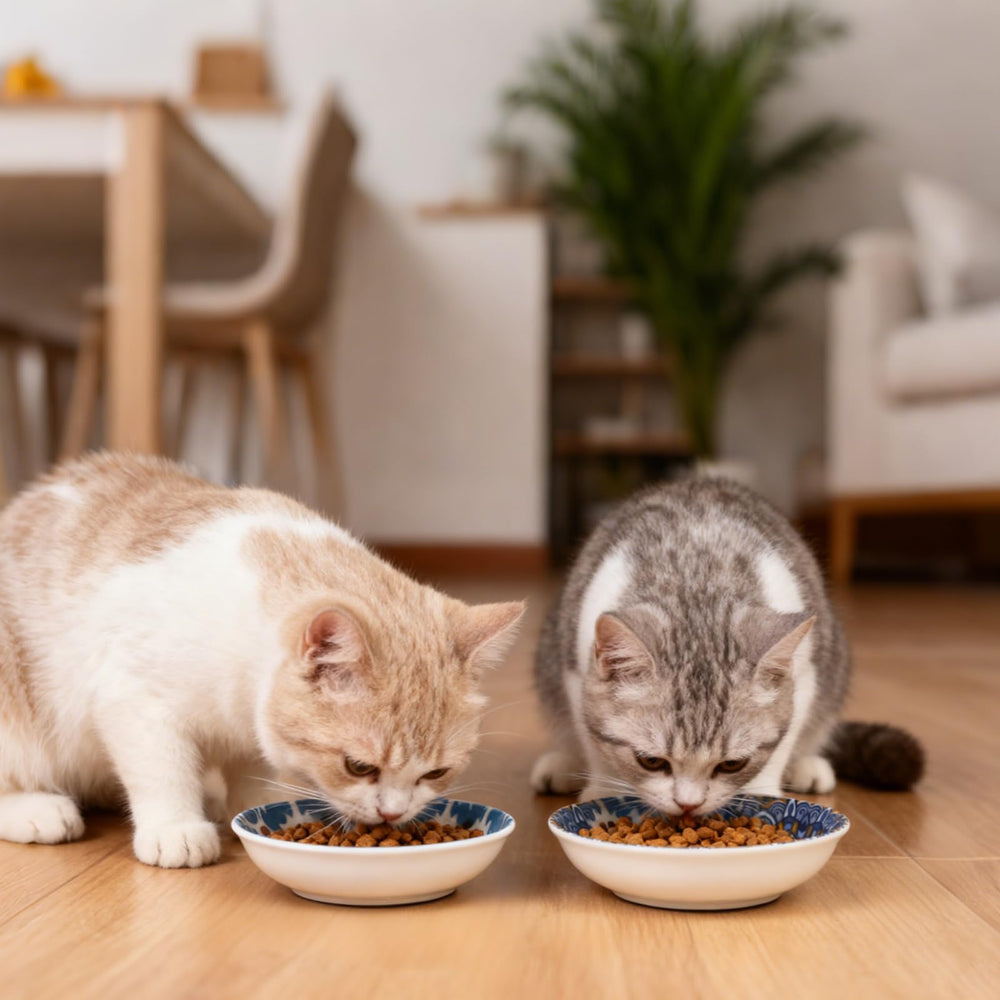 Happy Kit premium ceramic bowls with food-safe, lead- and cadmium-free glaze