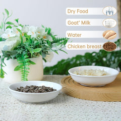 HAPPY KIT premium ceramic bowls are cadmium-free and lead-free for safe dining.