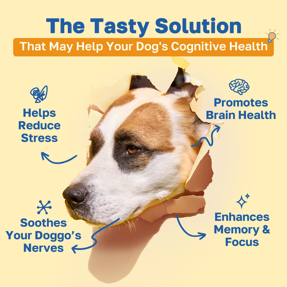 Happy Paws chicken soft chews packaging highlights memory-supporting treat.